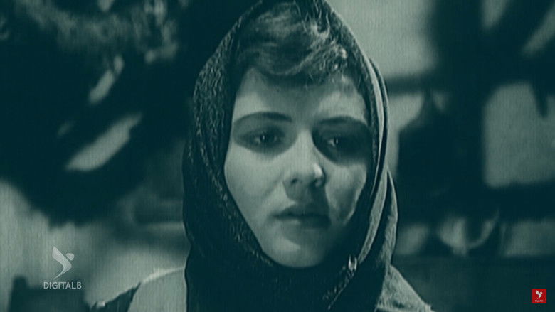 кадр из фильма Toka jonë