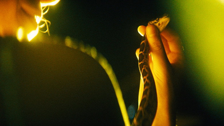 кадр из фильма The Python Hunt