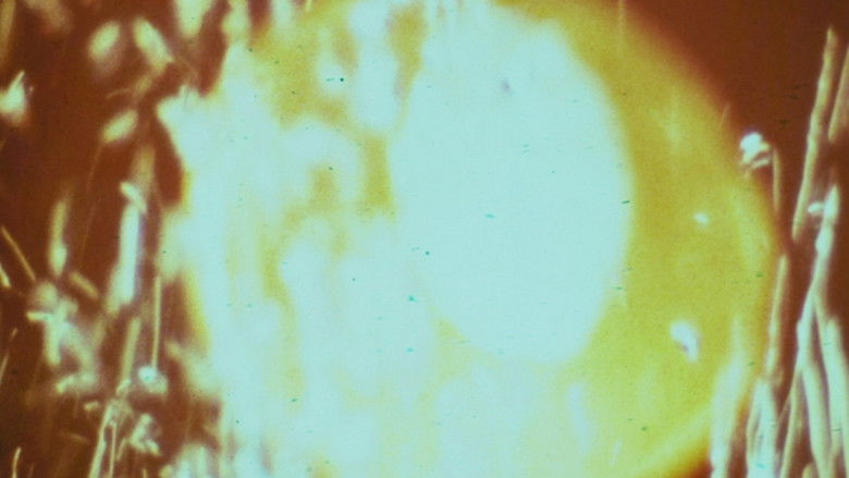 кадр из фильма Essentieel