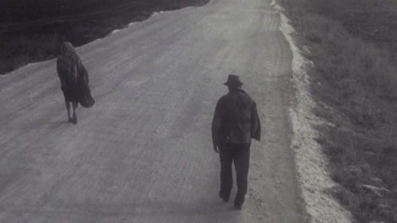 Мужчина и женщина