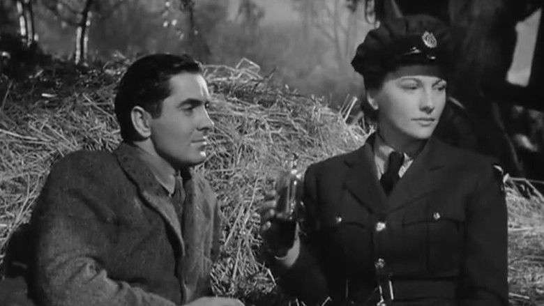 кадр из фильма This Above All