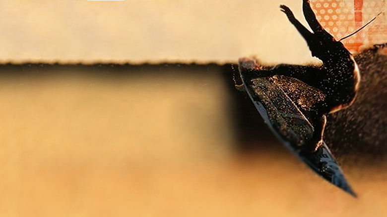 кадр из фильма Momentum: Under the Influence