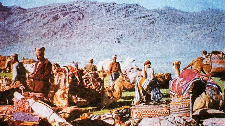 кадр из фильма The Kiwi, The Knight and the Qashqai