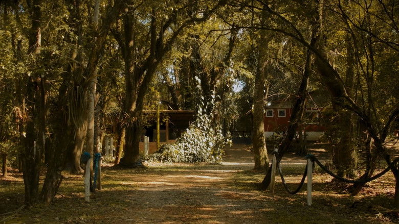 кадр из фильма Recanto dos Ribeiros