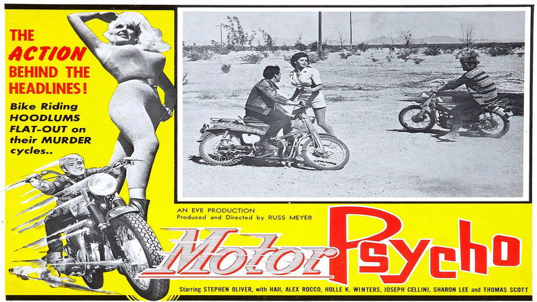 кадр из фильма Безумные мотоциклисты