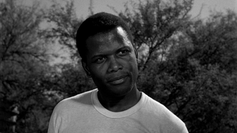 кадр из фильма Полевые лилии