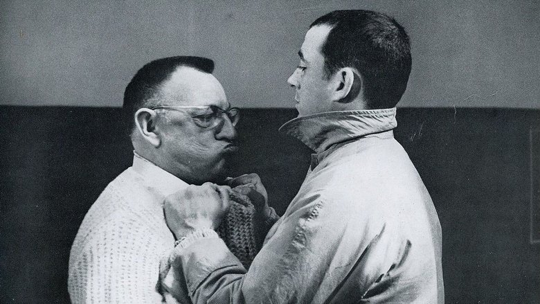 Бешеный пёс