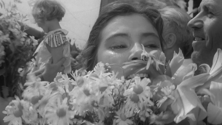 кадр из фильма Летят журавли