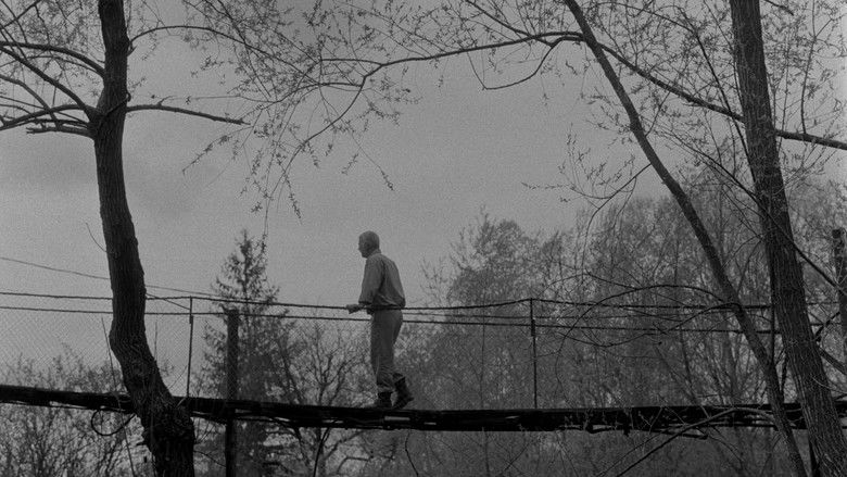 кадр из фильма Al cincilea pas