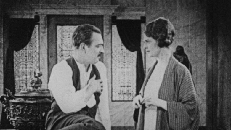 кадр из фильма White Tiger