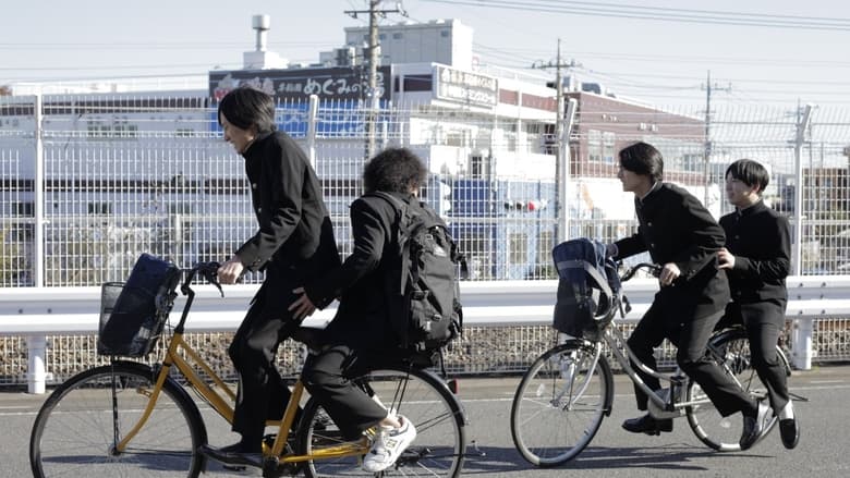 Сасаки в моей памяти