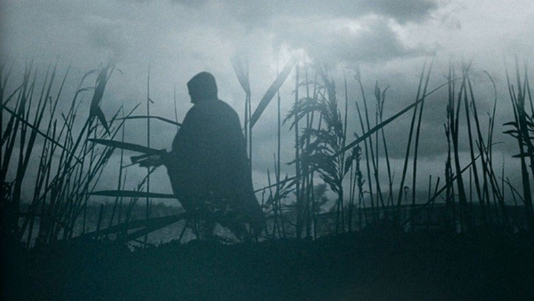 кадр из фильма Тростник