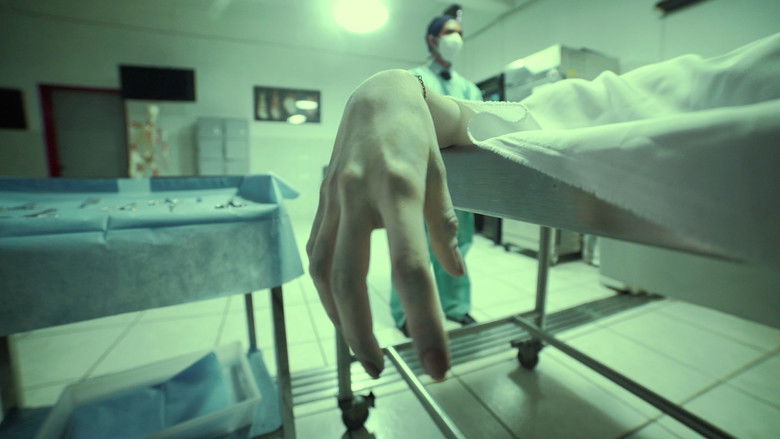 кадр из фильма Familiar