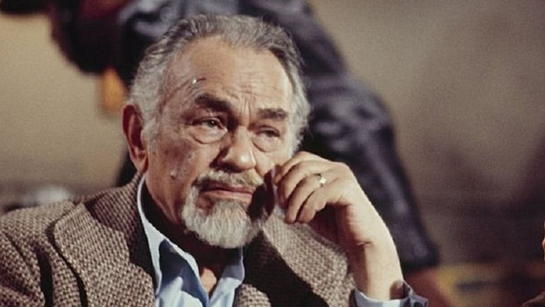 кадр из фильма The Old Man Who Cried Wolf