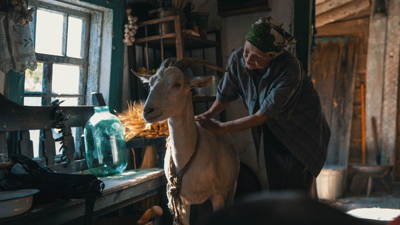кадр из фильма Війна очима тварин
