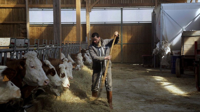 кадр из фильма Cyrille, agriculteur, 30 ans, 20 vaches, du lait, du beurre, des dettes