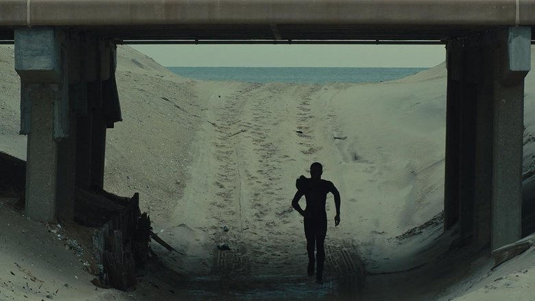 кадр из фильма The Surf Report