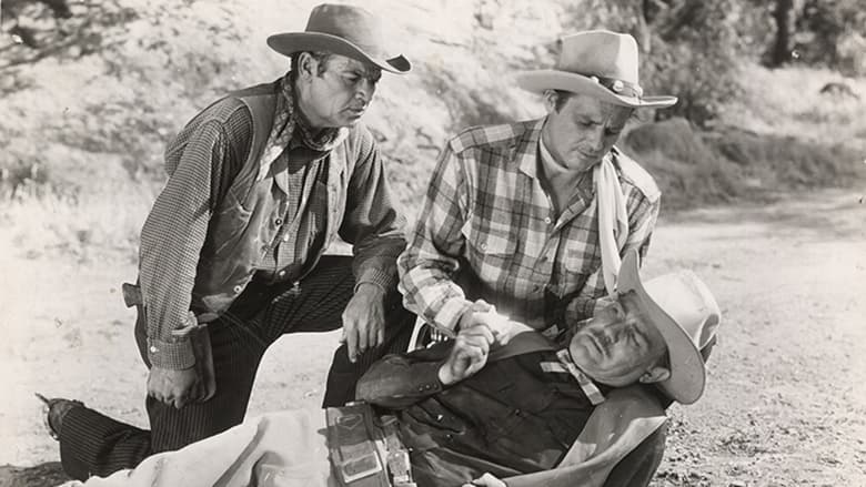 кадр из фильма Texas Lawmen
