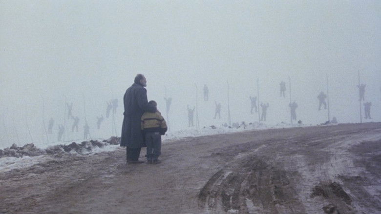 кадр из фильма Вечность и один день