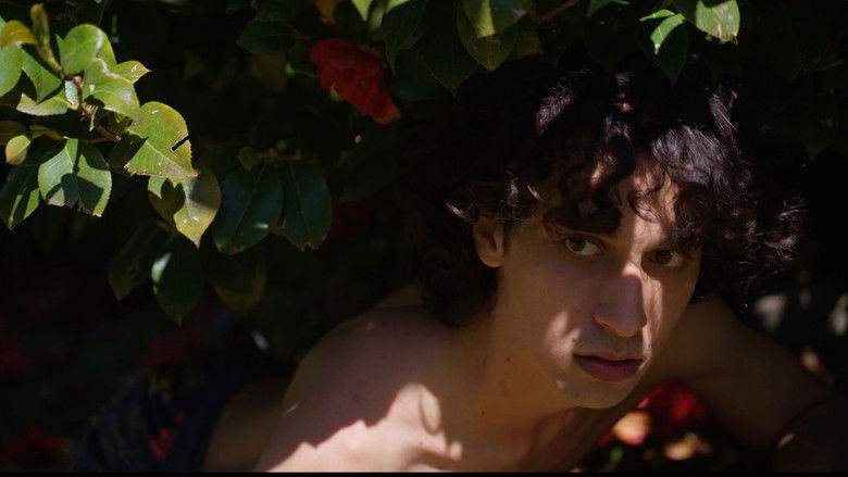 кадр из фильма EDEN