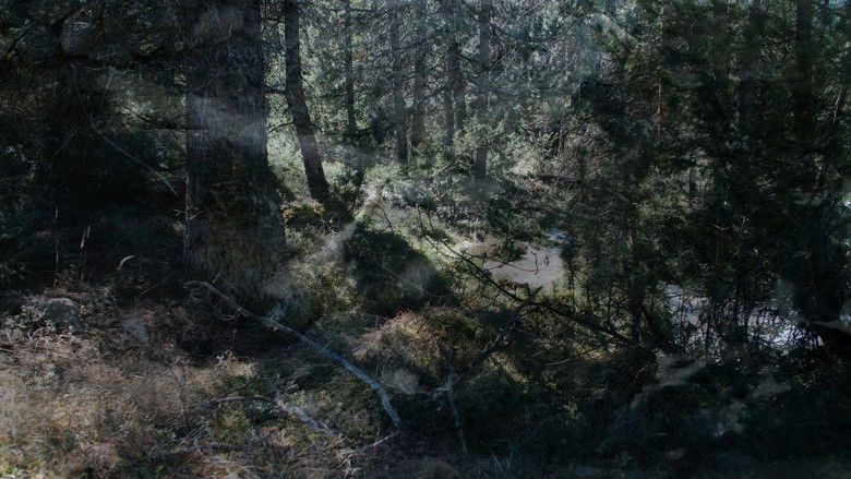 кадр из фильма Lumpaz