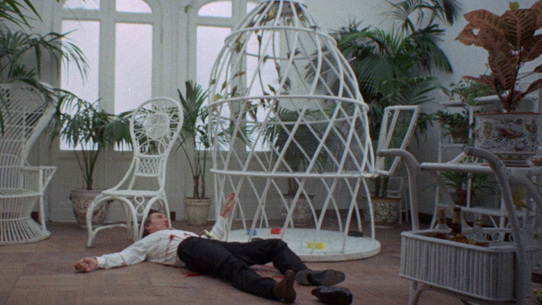 кадр из фильма Кто видел ее смерть?