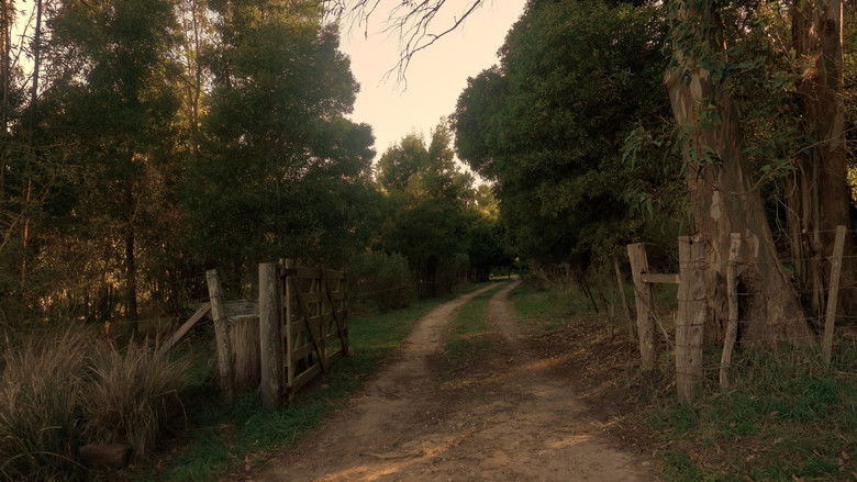 кадр из фильма En los Árboles