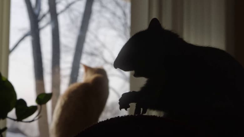 кадр из фильма My Duduś