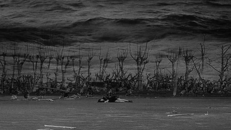 кадр из фильма Le Vortex Monopolaire