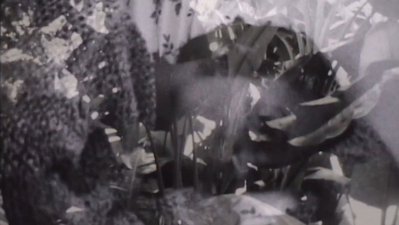 кадр из фильма Garden