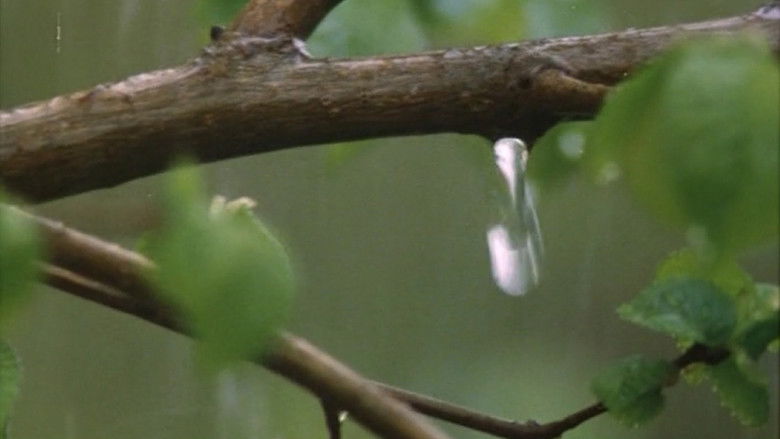 кадр из фильма Il pianeta azzurro