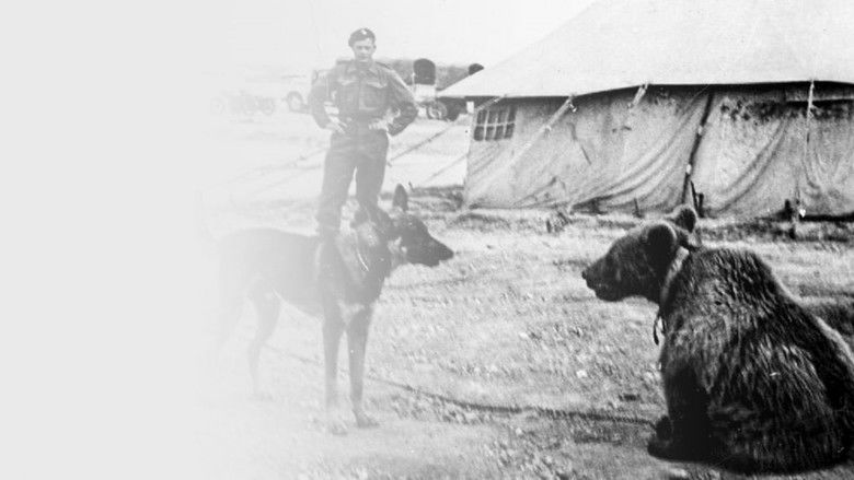 кадр из фильма Piwko dla niedźwiedzia!