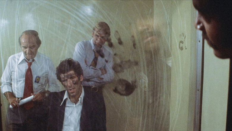 кадр из фильма Долгое прощание