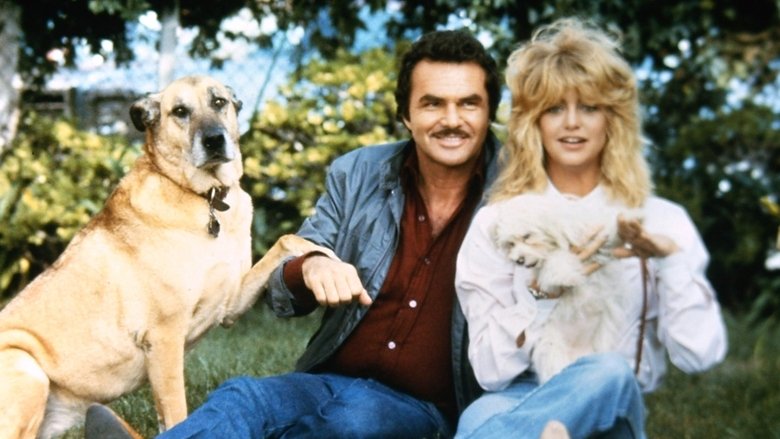 кадр из фильма Лучшие друзья