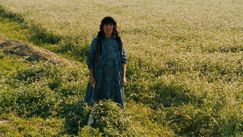 кадр из фильма Нас унесет ветер