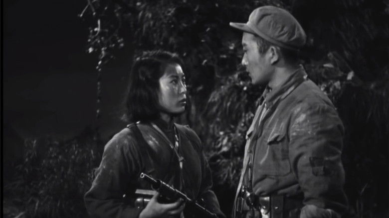 кадр из фильма 渡江侦察记