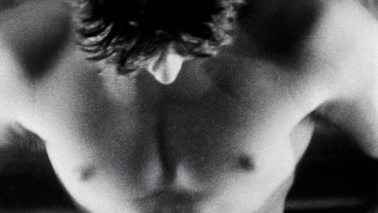 кадр из фильма Fireworks