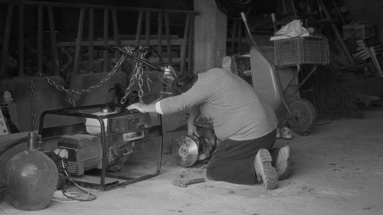 кадр из фильма Estimada Sa Bastida