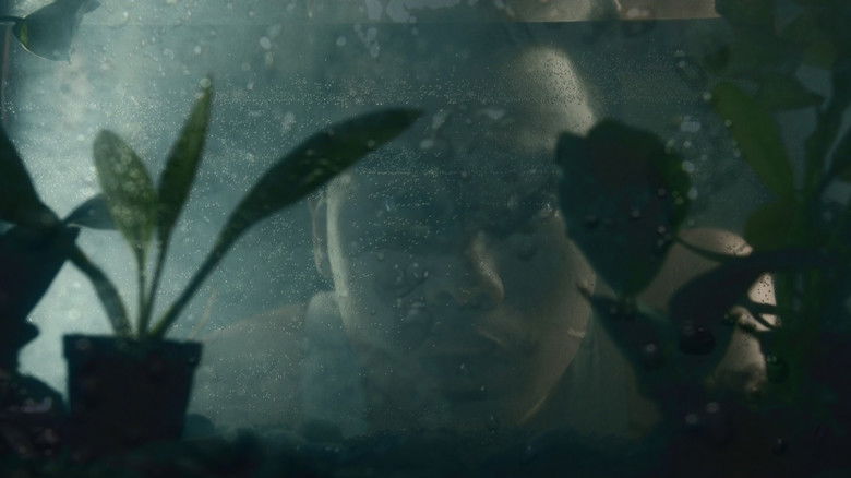 кадр из фильма I Can't Live Without A Dream