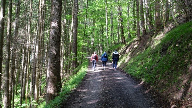 кадр из фильма Gehen: Wundermittel fur Korper und Seele