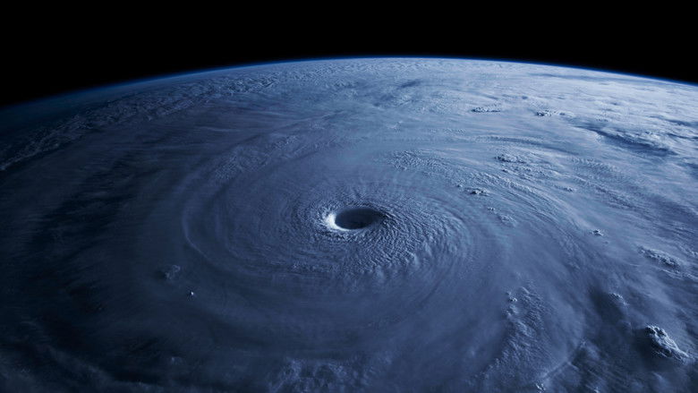 кадр из фильма Прекрасная планета