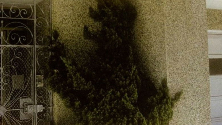 кадр из фильма Arbor Vitae