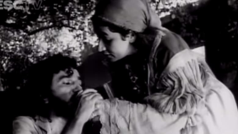 кадр из фильма A Árvore da Miséria