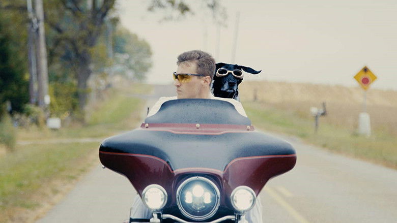 кадр из фильма Эллипс