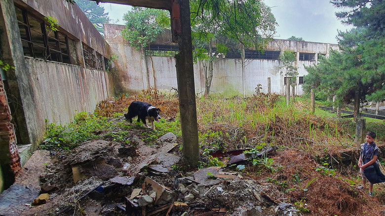 кадр из фильма Border