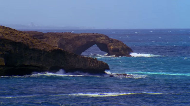 кадр из фильма Psychic Migrations