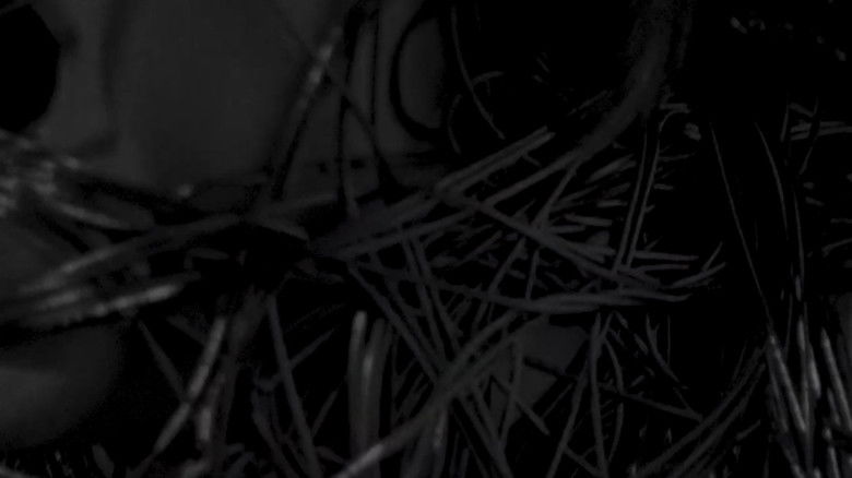 кадр из фильма The String That Binds Me