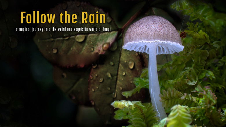 кадр из фильма Follow the Rain