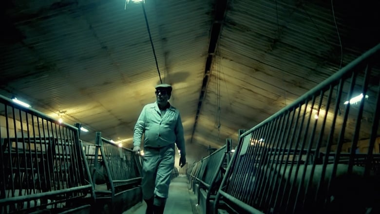 кадр из фильма Szczurołap