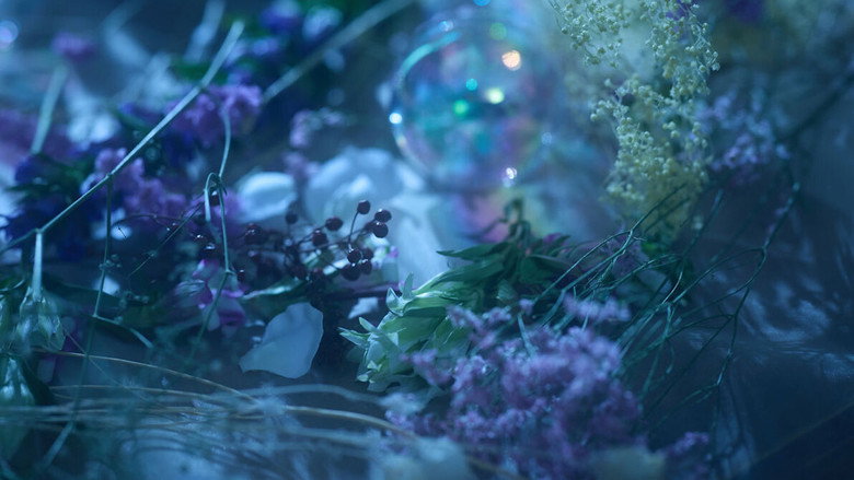 кадр из фильма ミュージカル十二国記 -月の影 影の海-